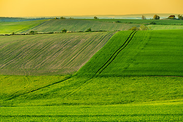 Image showing Beautiful green sping rural landscape