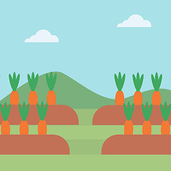 Image showing Background of carrots growing on field 