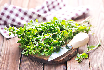 Image showing marjoram on a wooden rustic table