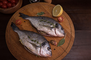 Image showing Fresh uncooked dorado 