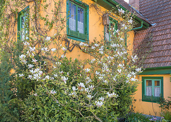 Image showing idyllic house detail