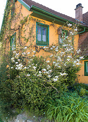 Image showing idyllic house detail