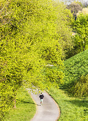 Image showing Running round the path