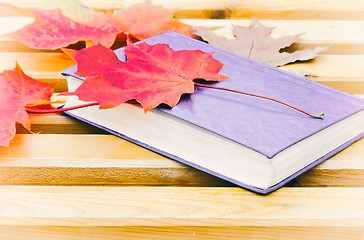 Image showing Book and fallen leaves on a Park bench.