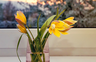 Image showing Bouquet of yellow tulips on the windowsill.