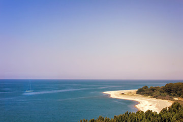 Image showing Landscape with sea views. Pitsunda, Abkhazia.