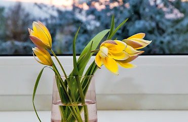 Image showing Bouquet of yellow tulips on the windowsill.