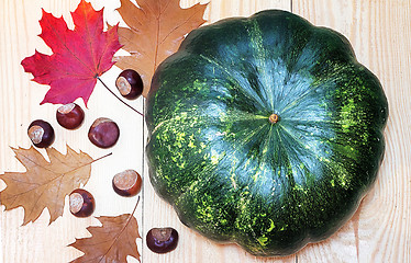 Image showing Large green pumpkin, chestnuts and yellow leaves.g