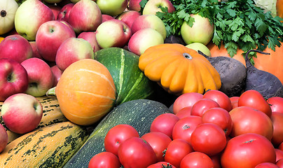 Image showing Vegetable harvest is sold at the fair.