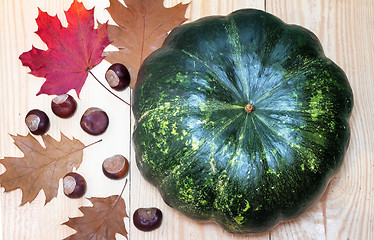 Image showing Large green pumpkin, chestnuts and yellow leaves.g