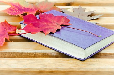 Image showing Book and fallen leaves on a Park bench.
