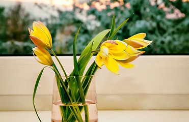 Image showing Bouquet of yellow tulips on the windowsill.