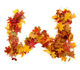 Image showing alphabet sign from autumn leaf 