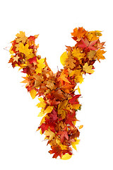 Image showing alphabet sign from autumn leaf 