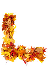 Image showing alphabet sign from autumn leaf 