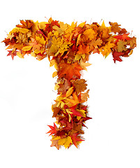 Image showing alphabet sign from autumn leaf 