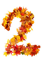 Image showing alphabet sign from autumn leaf 