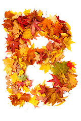 Image showing alphabet sign from autumn leaf 