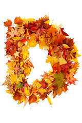 Image showing alphabet sign from autumn leaf 