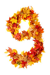 Image showing alphabet sign from autumn leaf 