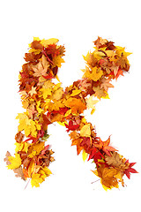 Image showing alphabet sign from autumn leaf 