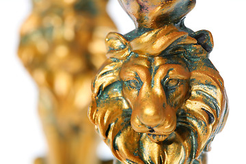 Image showing Golden Lion