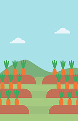 Image showing Background of carrots growing on field 