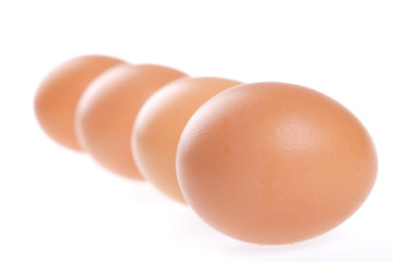 Image showing Egg, Bird