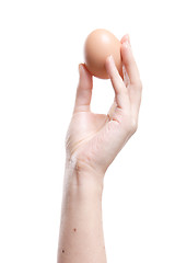 Image showing Egg in Hand