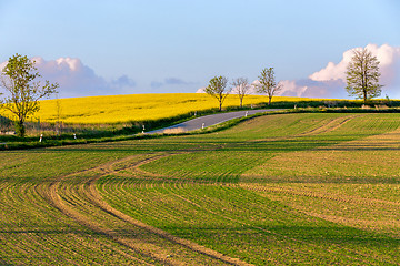 Image showing Beautiful summer rural landscape