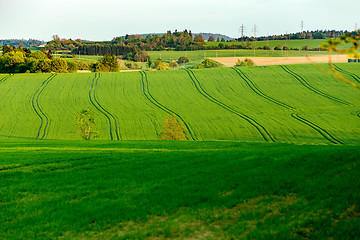 Image showing Beautiful green sping rural landscape