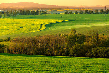 Image showing Beautiful summer rural landscape