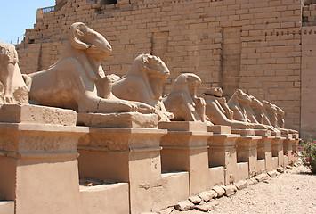 Image showing Luxor temple