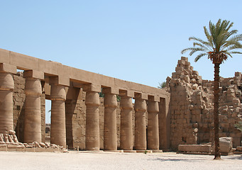 Image showing Luxor temple