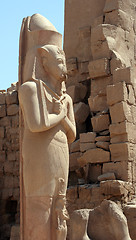 Image showing Luxor temple