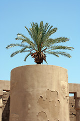 Image showing Luxor temple