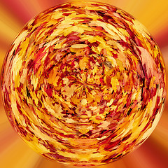 Image showing tiny planet of Fall orange autumn leaves