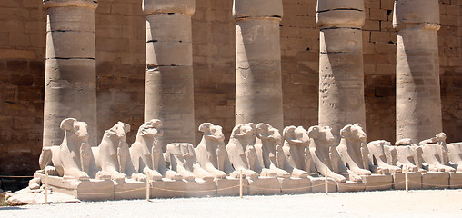 Image showing Luxor temple