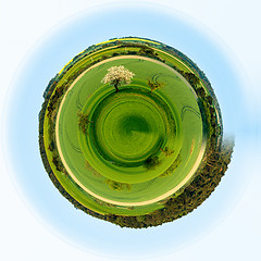 Image showing Beautiful green sping rural planet