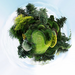 Image showing planet of Beautiful spring garden design