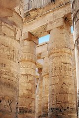 Image showing Luxor temple