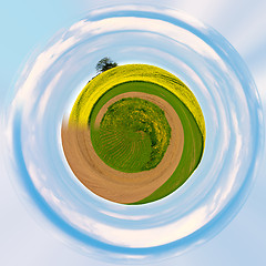 Image showing Little planet with green grass ecology concept