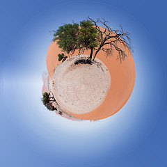 Image showing Beautiful Little planet of Dune 45