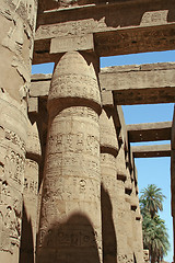 Image showing Luxor temple