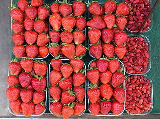 Image showing Strawberries