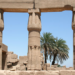 Image showing Luxor temple