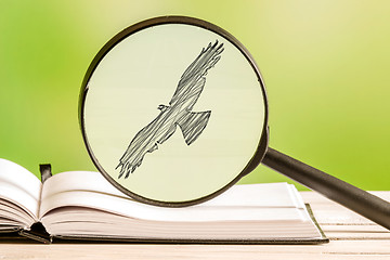 Image showing Bird search with a magnifying glass