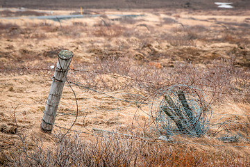 Image showing Fence with barb wire on a field