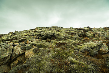 Image showing Moss on rocks at a mountain