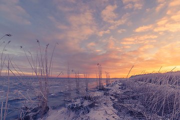 Image showing Frozen sea shore in the sunrise